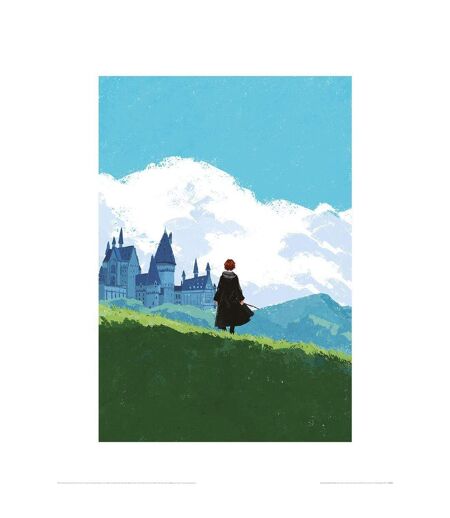 Harry Potter - Imprimé (Bleu / Vert / Noir) (40 cm x 30 cm) - UTPM6177