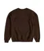 Sweat Motif Frodon By Frodo Adulte Marron The Lord Of The Rings-2