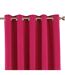 Riva Home Eclipse Blackout Eyelet Curtains (Pink) (90 x 54in (229 x 137cm)) - UTRV1083