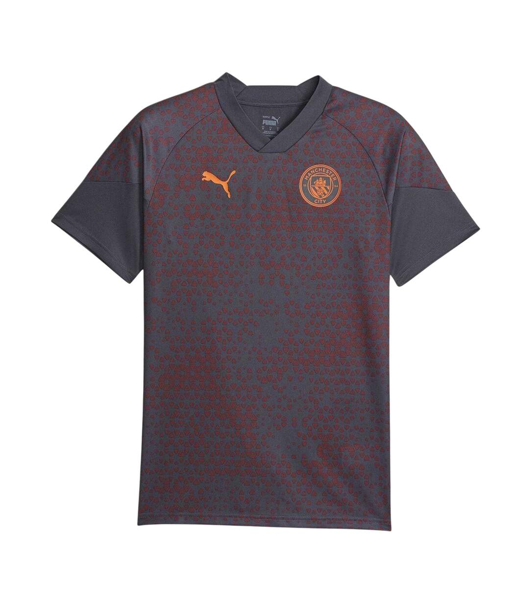 Mens 2023/24 Manchester City Fc Training Football Jersey Grey Purple Puma-1
