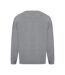 Absolute Apparel - Sweat-shirt STERLING - Homme (Gris pâle) - UTAB113