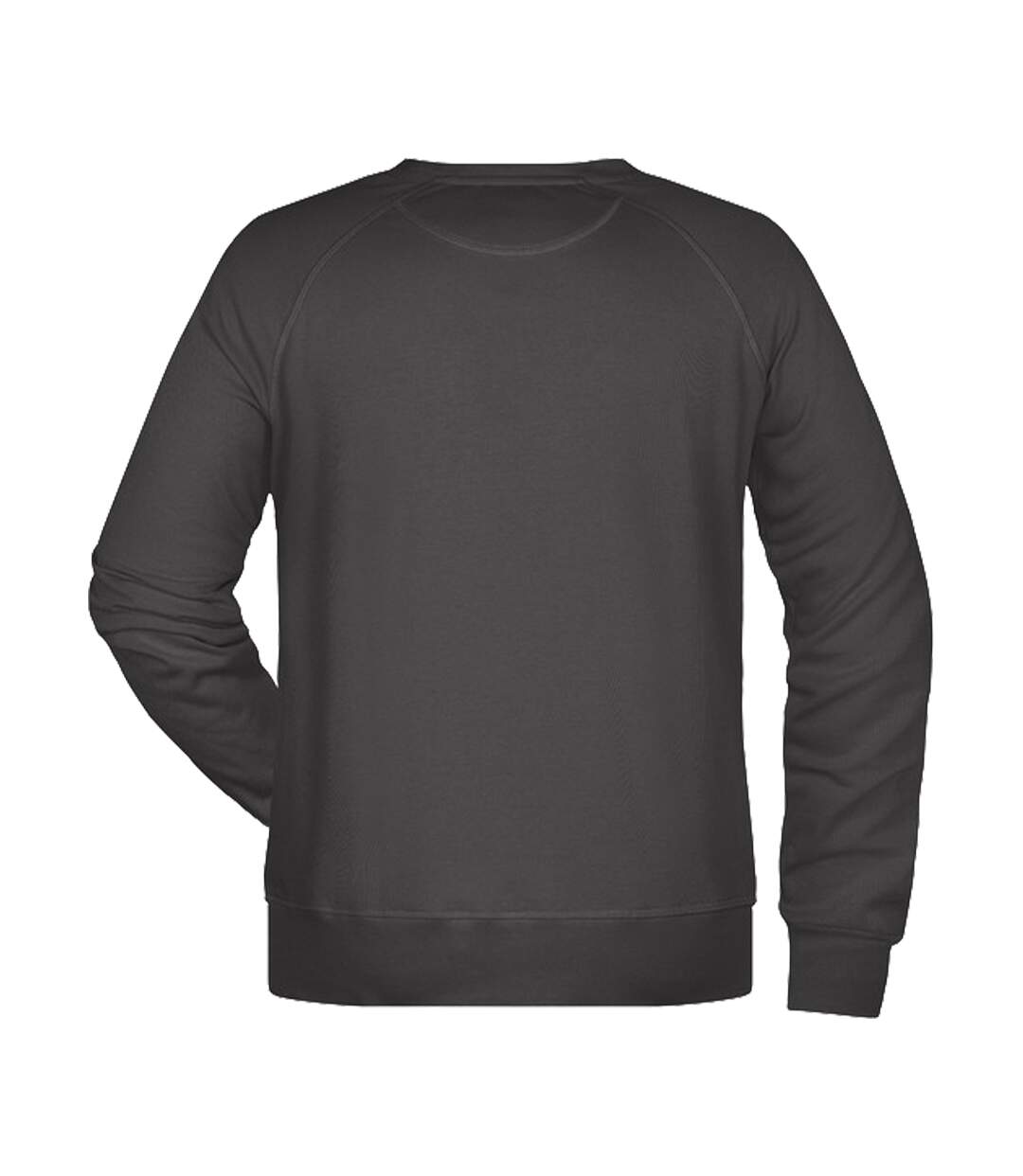 Sweat Homme Graphite Uni James And Nicholson-2