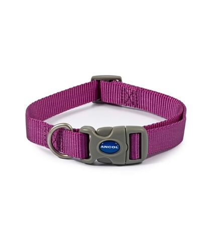 Ancol Viva Adjustable Dog Collar (Purple) (17.72in - 29.53in) - UTTL5198