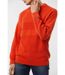 Pull CARTEX Rouille-3