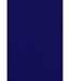 Paper Dolls Womens/Ladies Kempsey Frill Front Shift Dress (Cobalt Blue) - UTLZ196