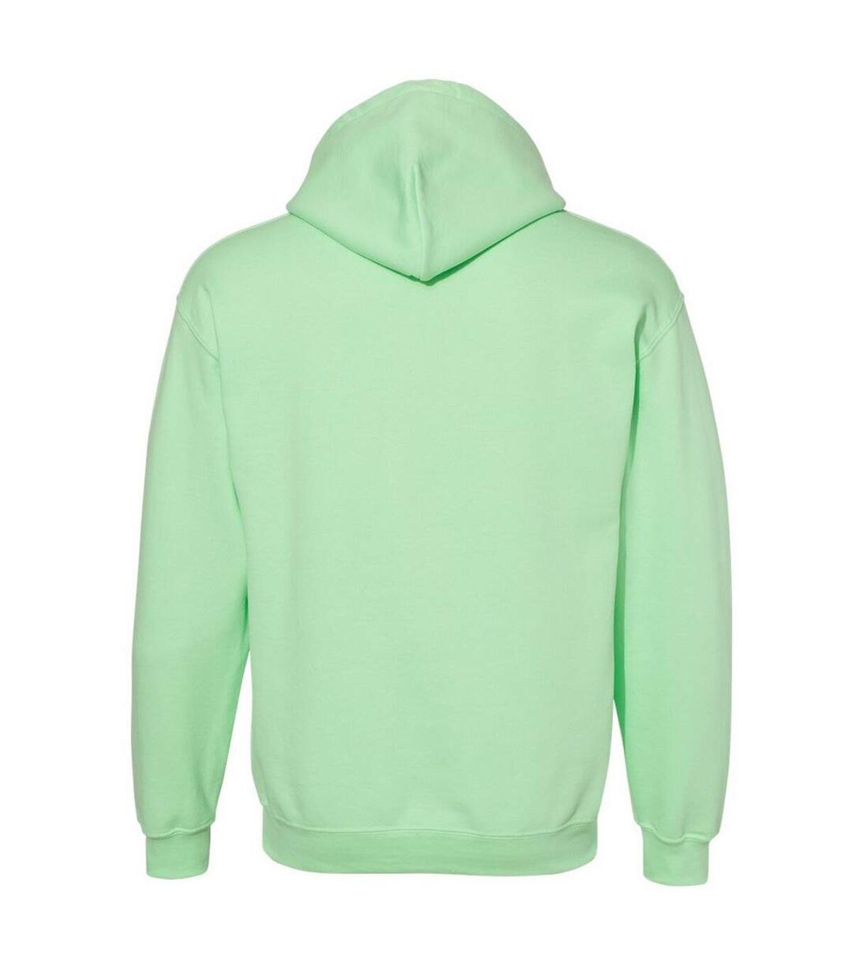 Gildan Heavy Blend Adult Unisex Hooded Sweatshirt/Hoodie (Mint Green) - UTBC468