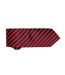 Cravate Rayée Homme Taille Unique Rouge Noir Premier-2