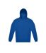 Sweat à capuche id.333 adulte bleu roi B&C-1