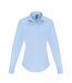Premier Womens/Ladies Stretch Fit Poplin Long Sleeve Blouse (Pale Blue) - UTRW6588