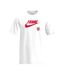 T-shirt Motif/style Angleterre Euros Winners Homme Blanc Nike-1