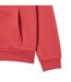 Veste À Capuche Homme Rouge Lacoste-3