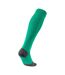 Chaussettes De Foot Teamliga Homme Vert Puma-2