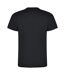 T-shirt dogo premium homme anthracite Roly