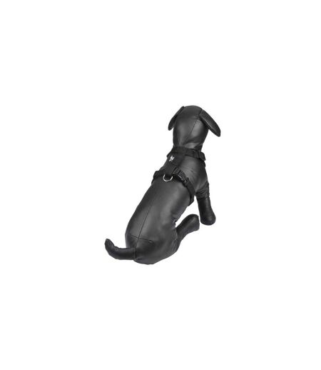 Harnais pour Chien Essentiel 50cm Noir