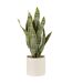 Plante Artificielle en Pot Sansevieria 60cm Vert-1