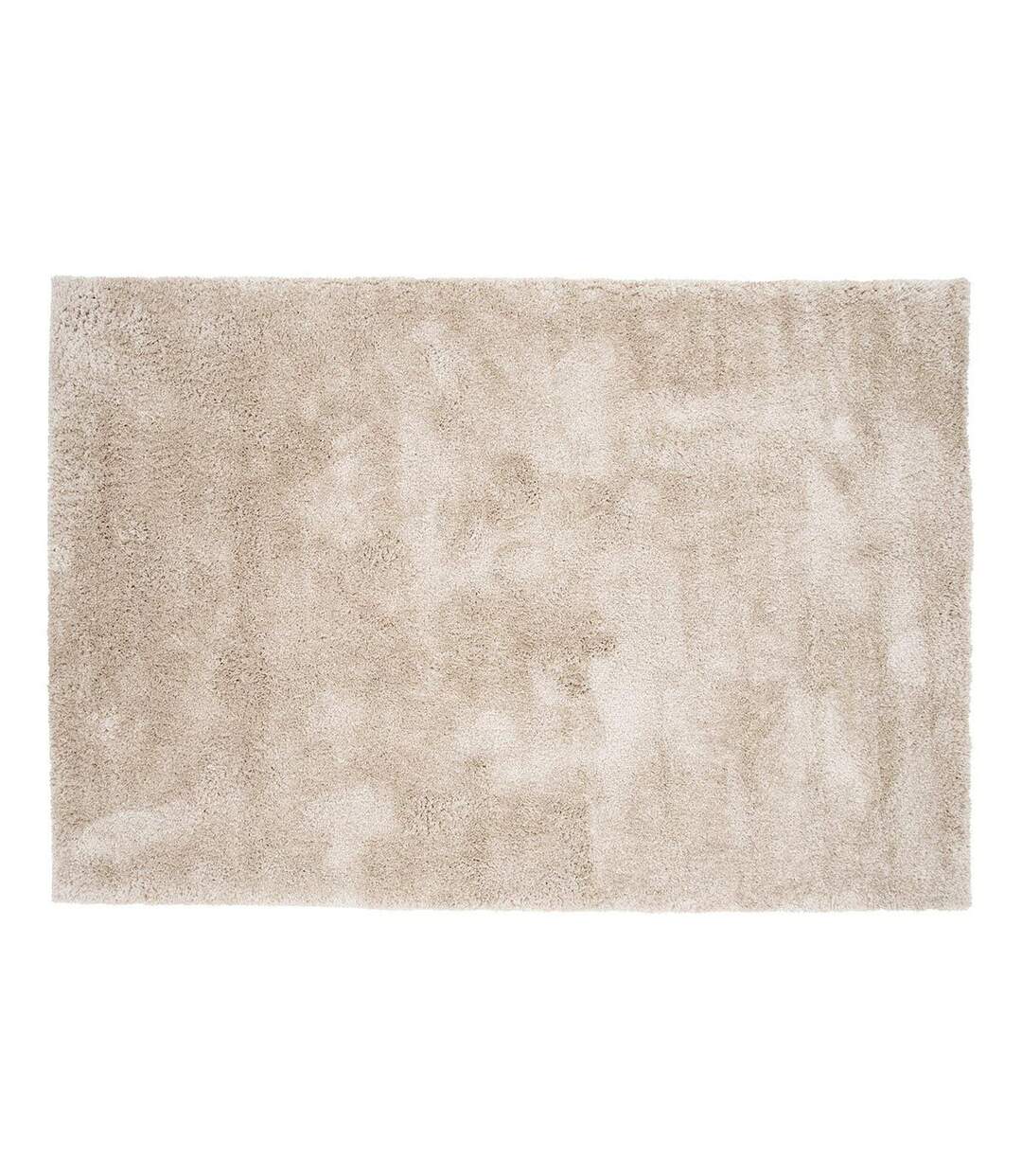 Tapis Déco Walter 240x340cm Beige-1