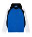 Veste sport homme blanc / bleu / noir Lacoste-1