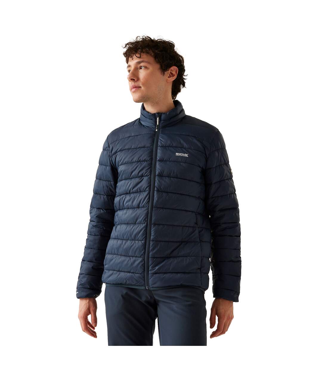 Mens marizion padded jacket navy Regatta