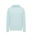 Unisex Adult Rila Recycled Cotton Lightweight Hoodie Crushed Mint Iqoniq-2