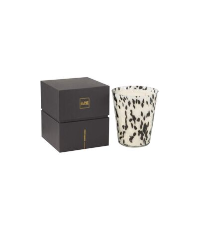 Bougie Parfumée Noa 20cm Stone & Rock