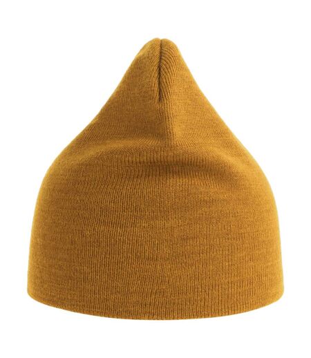 Unisex Adult Holly Baseball Cap Mustard Atlantis