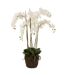 Fleur Artificielle Déco Orchidée en Terre 98cm Blanc-1