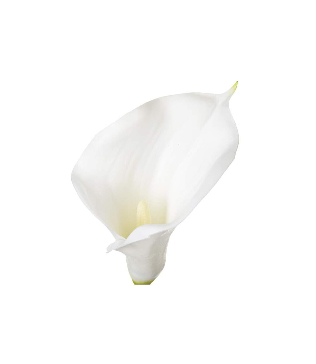 Fleur Artificielle Arôme 78cm Blanc-2
