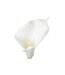 Fleur Artificielle Arôme 78cm Blanc-2