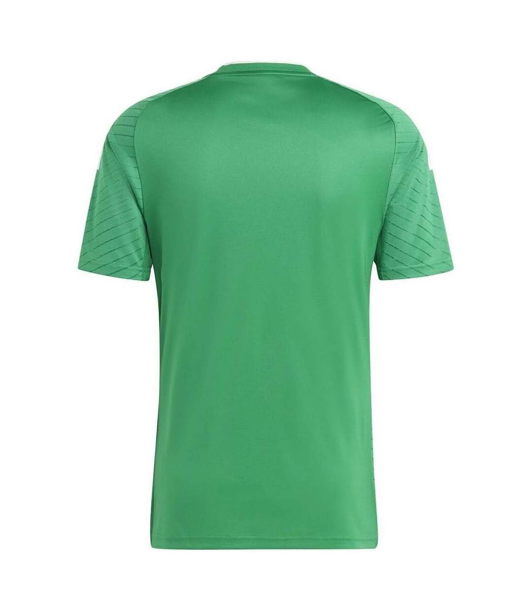 Maillot Campeon Homme Vert Adidas-3