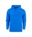 Sweat À Capuche Motif/style Bande Ess+ Homme Bleu Puma-1