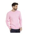Pull longues col rond coton LEO