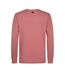 Sweat rose homme petrol industries neck-2