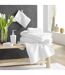Lot de 2 Gants de Toilette Tendresse 15x21cm Blanc-4