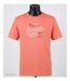 Tee - shirt SAMPA2-3