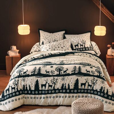 Hiver folk