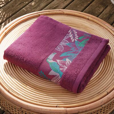 Jardin tropical