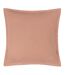 Wylder Moth Throw Pillow Cover (Pale Pink) (50cm x 50cm) - UTRV3078