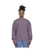 Sweat Homme Violet Urban Classics-1