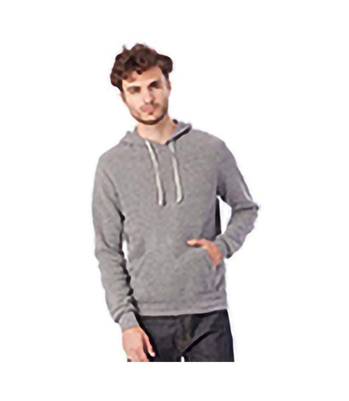 Alternative Apparel Mens Challenger Pullover Hoodie (Eco Gray)
