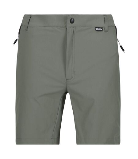 Mens mountain ii shorts agave green/ash Regatta