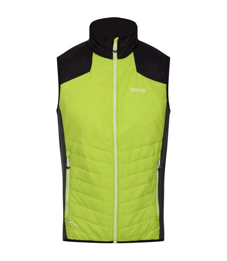 Veste Sans Manches Halton Homme Kiwi Vif Noir Regatta