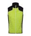 Veste Sans Manches Halton Homme Kiwi Vif Noir Regatta-1