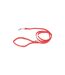 Laisse Fine pour Chien Essentiel 120cm Rouge