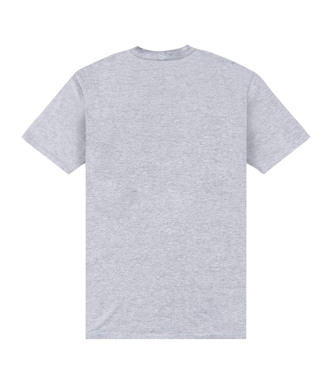 T-shirt adulte gris chiné Park Fields