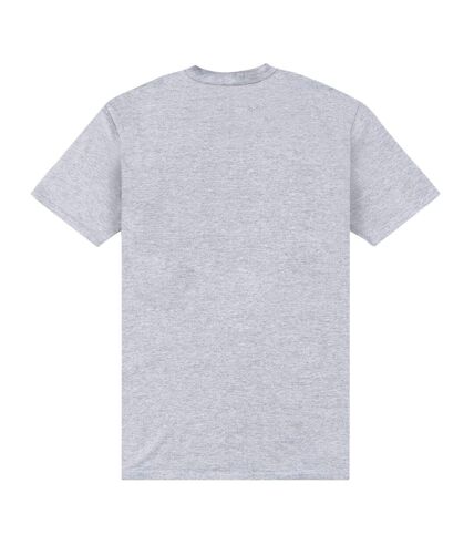 Park Fields Unisex Adult Crossbills T-Shirt (Heather Grey)