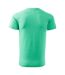 T-shirt Basic Homme Menthe Adler-2