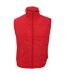 Result Mens Core Bodywarmer Water Repellent Windproof Jacket (Red) - UTBC902