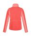 Regatta Womens/Ladies Lindalla III Fleece (Neon Peach/Fusion Coral) - UTRG7118