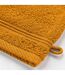 Lot de 2 Gants de Toilette Tendresse 15x21cm Jaune Curry-3
