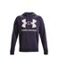 Sweat À Capuche Rival Homme Violet Clair Under Armour-2